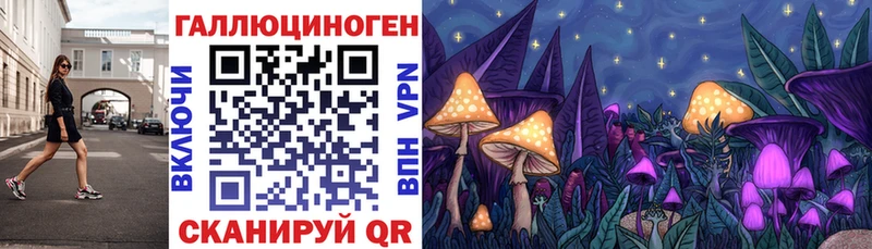 blacksprut рабочий сайт  Рошаль  Галлюциногенные грибы мицелий 